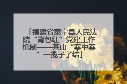福建省泰宁县人民法院“背包红”党建工作机制——茶山“案中案”一揽子了结