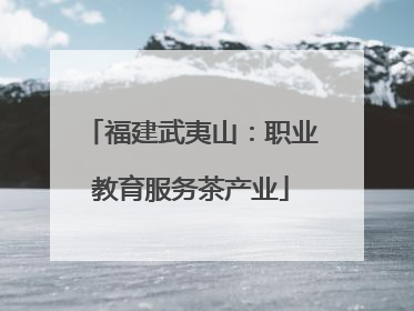 福建武夷山：职业教育服务茶产业