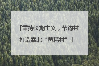 秉持长期主义，苇沟村打造泰北“黄精村”