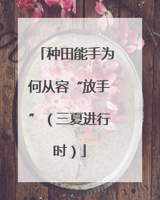 种田能手为何从容“放手”（三夏进行时）