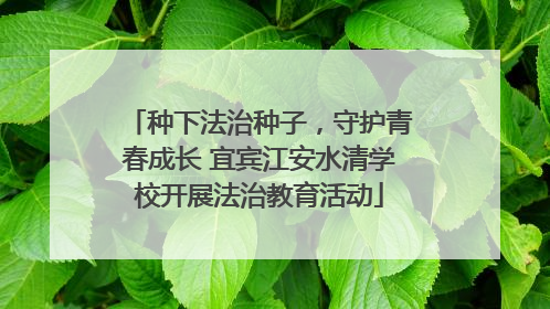 种下法治种子，守护青春成长 宜宾江安水清学校开展法治教育活动