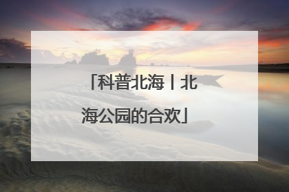 科普北海丨北海公园的合欢