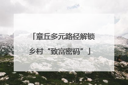 章丘多元路径解锁乡村“致富密码”