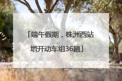 端午假期，株洲西站增开动车组36趟