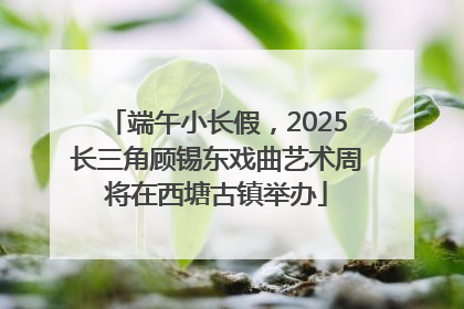 端午小长假，2025长三角顾锡东戏曲艺术周将在西塘古镇举办