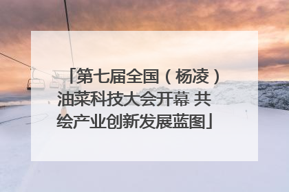 第七届全国（杨凌）油菜科技大会开幕 共绘产业创新发展蓝图