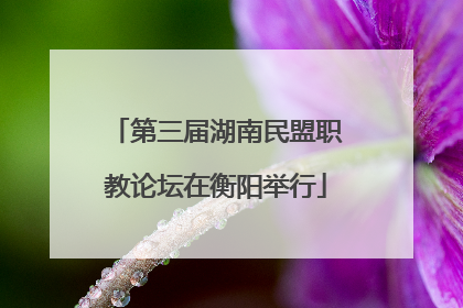第三届湖南民盟职教论坛在衡阳举行