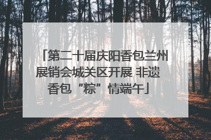 第二十届庆阳香包兰州展销会城关区开展 非遗香包“粽”情端午