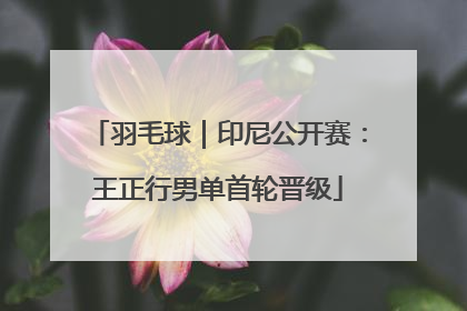 羽毛球｜印尼公开赛：王正行男单首轮晋级