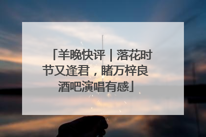 羊晚快评｜落花时节又逢君，睹万梓良酒吧演唱有感
