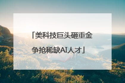美科技巨头砸重金争抢稀缺AI人才