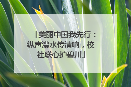 美丽中国我先行：纵声澧水传清响，校社联心护碧川