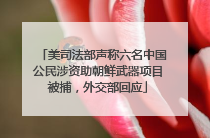 美司法部声称六名中国公民涉资助朝鲜武器项目被捕，外交部回应