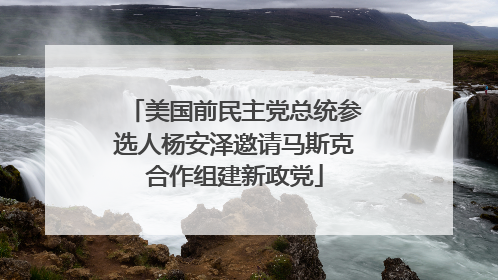 美国前民主党总统参选人杨安泽邀请马斯克合作组建新政党