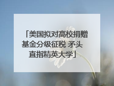 美国拟对高校捐赠基金分级征税 矛头直指精英大学
