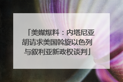 美媒爆料：内塔尼亚胡请求美国斡旋以色列与叙利亚新政权谈判
