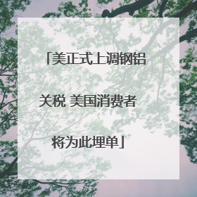 美正式上调钢铝关税 美国消费者将为此埋单