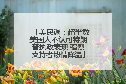 美民调：超半数美国人不认可特朗普执政表现 强烈支持者热情降温