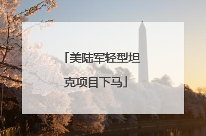 美陆军轻型坦克项目下马