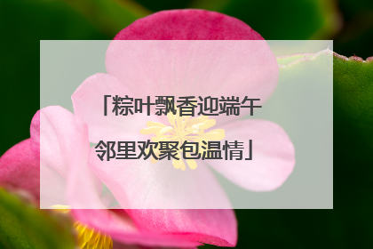 粽叶飘香迎端午 邻里欢聚包温情