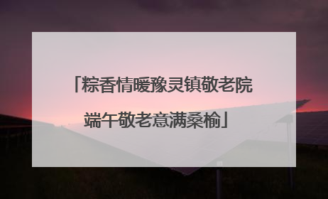 粽香情暖豫灵镇敬老院 端午敬老意满桑榆