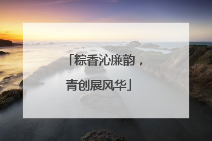 粽香沁廉韵，青创展风华