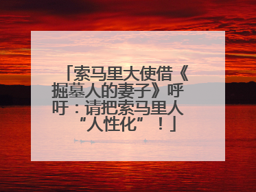 索马里大使借《掘墓人的妻子》呼吁：请把索马里人“人性化”！