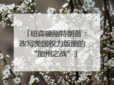 纽森硬刚特朗普：改写美国权力版图的 “加州之战”