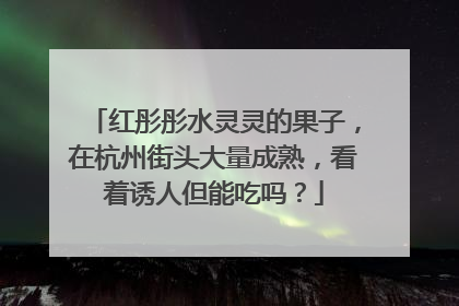 红彤彤水灵灵的果子，在杭州街头大量成熟，看着诱人但能吃吗？
