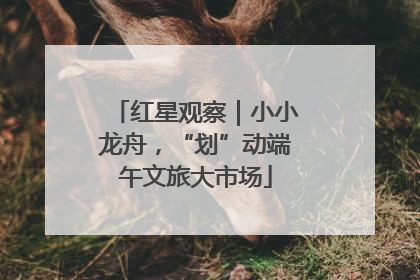 红星观察｜小小龙舟，“划”动端午文旅大市场
