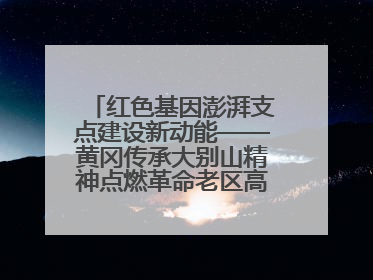 红色基因澎湃支点建设新动能——黄冈传承大别山精神点燃革命老区高质量发展新引擎