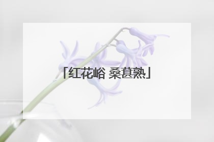 红花峪 桑葚熟