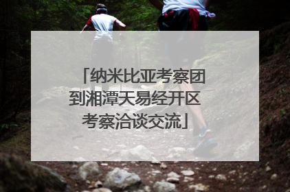 纳米比亚考察团到湘潭天易经开区考察洽谈交流