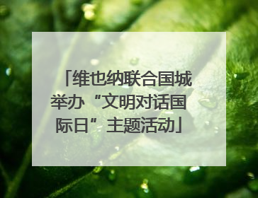 维也纳联合国城举办“文明对话国际日”主题活动