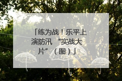 练为战！乐平上演防汛 “实战大片”（图）