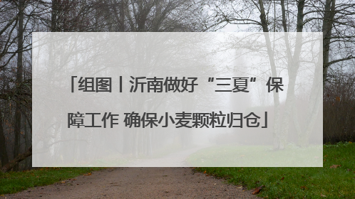 组图丨沂南做好“三夏”保障工作 确保小麦颗粒归仓