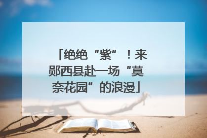 绝绝“紫”！来郧西县赴一场“莫奈花园”的浪漫