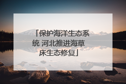 保护海洋生态系统 河北推进海草床生态修复