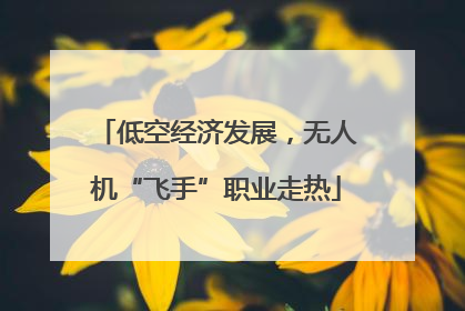 低空经济发展，无人机“飞手”职业走热