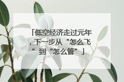 低空经济走过元年，下一步从“怎么飞”到“怎么管”