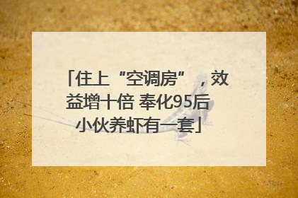 住上“空调房”，效益增十倍 奉化95后小伙养虾有一套