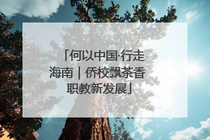 何以中国·行走海南｜侨校飘茶香 职教新发展