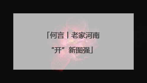 何言丨老家河南 “开”新图强