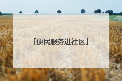 便民服务进社区