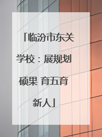 临汾市东关学校：展规划硕果 育五育新人