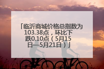 临沂商城价格总指数为103.38点，环比下跌0.10点（5月15日—5月21日）