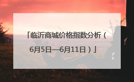 临沂商城价格指数分析（6月5日—6月11日）