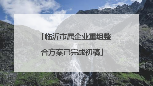 临沂市属企业重组整合方案已完成初稿