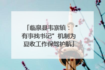 临泉县韦寨镇：“有事找书记”机制为夏收工作保驾护航