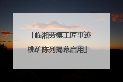 临湘劳模工匠事迹桃矿陈列揭幕启用